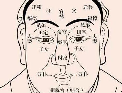 面相视频,视频解析面相特征与命运关联