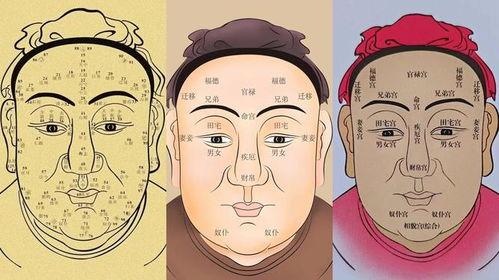 面相视频,视频解析面相特征与命运关联