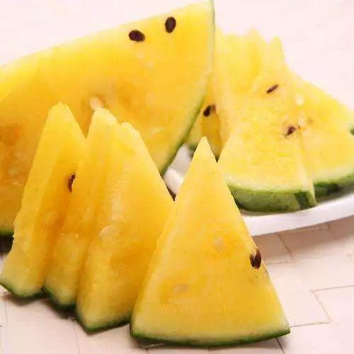 最新黑瓜吃料王,揭秘最新美食潮流风向标