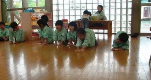 日本幼儿园视频,温馨互动与快乐成长瞬间