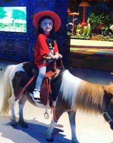 喂小鸟视频,温馨互动，共度美好时光