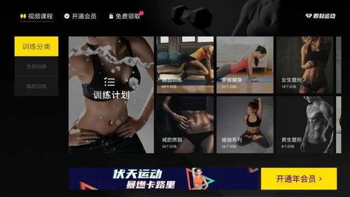 优人视频,揭秘短视频制作背后的创意与技巧