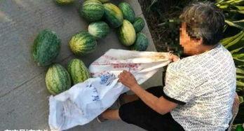 包头吃瓜最新事件爆料,揭秘背后惊人真相