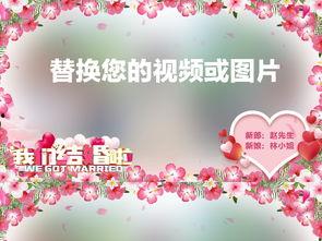 结婚祝福语视频,结婚祝福语视频集锦