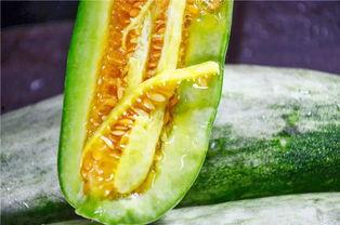 网红今日吃瓜是真的吗,真相揭秘，是真是假？