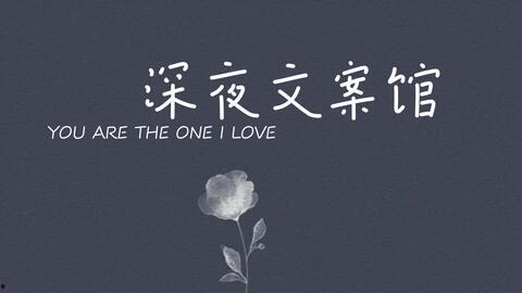 15秒情感语录视频,瞬间触动心弦