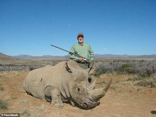 枪杀动物视频,枪杀动物事件的残酷真相