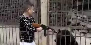 枪杀动物视频,枪杀动物事件的残酷真相