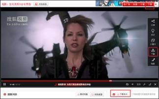 搜孤视频,探寻历史真相的视觉之旅