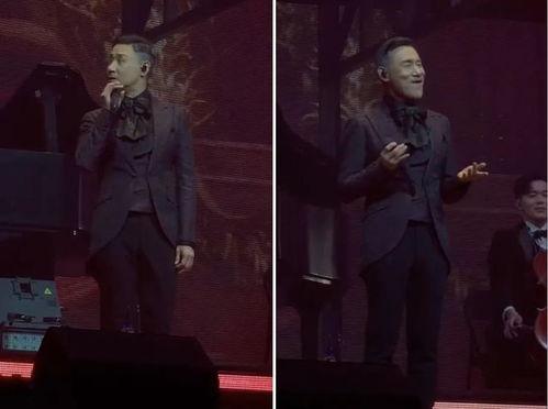 张学友演唱会视频,视听盛宴，经典旋律再现