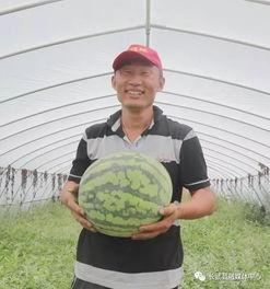 吃瓜群众今日吃瓜视频,揭秘吃瓜群众热追视频背后的故事