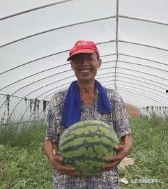 吃瓜群众今日吃瓜视频,揭秘吃瓜群众热追视频背后的故事