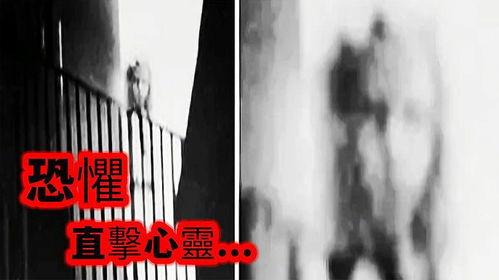 猎奇视频,一场视觉与心理的双重挑战