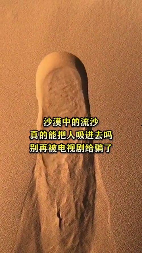 真正的流沙视频,揭秘真实流沙的惊险与神秘