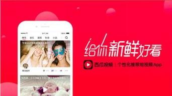 今日吃瓜网红爆料新闻直播,今日新闻直播大揭秘，吃瓜群众速来围观！”