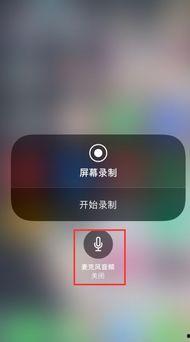 苹果录视频没声音,苹果录视频无声音问题解析及解决攻略