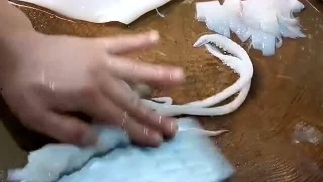 鱿鱼改刀视频,视频教学，轻松掌握美味秘诀