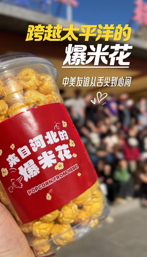 爆米花视频在线观看,在线观看，畅享视听盛宴