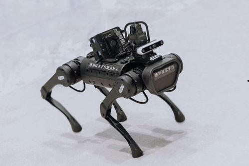 机械狗视频,未来宠物与智能生活新伙伴