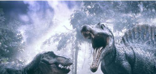 海王龙视频,深海霸主的真实面貌