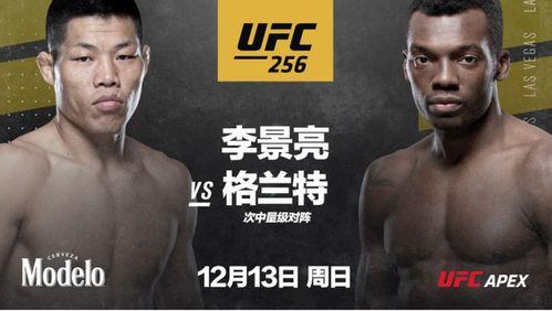 李景亮视频,热血格斗，荣耀瞬间