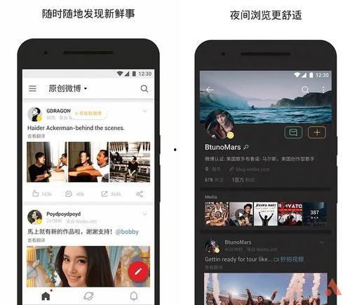 b 视频,揭秘其独特魅力与精彩内容