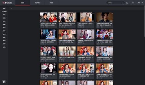 b 视频,揭秘其独特魅力与精彩内容