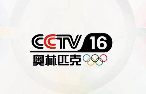 cctv5视频,激战正酣，激情四溢的体育赛事集锦