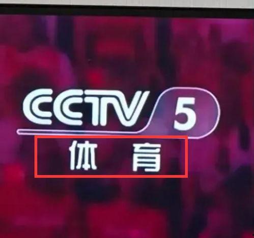 cctv5视频,激战正酣，激情四溢的体育赛事集锦