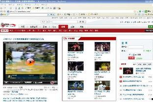 cctv5视频,激战正酣，激情四溢的体育赛事集锦