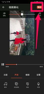 视频去背景音乐,探寻音乐背后的故事