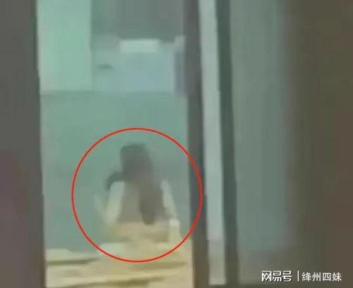 不雅情侣视频,一场道德沦丧的警示录