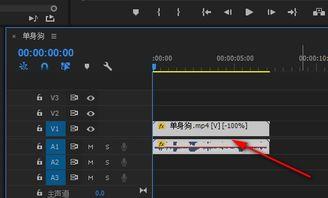 视频倒放的软件,揭秘视频倒放软件的神奇魅力