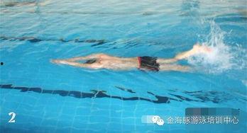 爬泳视频,跟随专业视频学习高效爬泳技巧