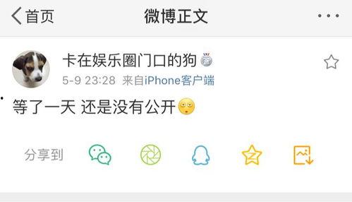 爆料博主吃瓜是真的吗知乎,是真是假，一探究竟