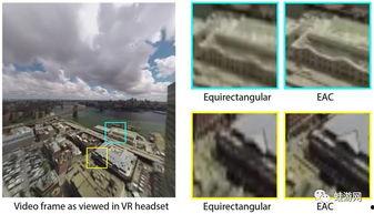 蛙游视频,探索水下世界的奇幻之旅