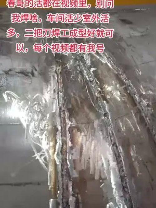 活春视频,探寻生命活力的奥秘之旅