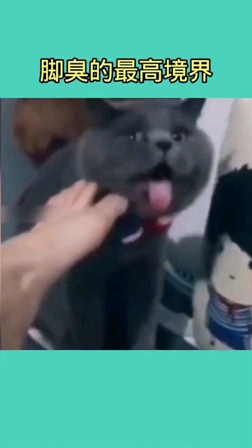 臭脚视频,尴尬瞬间引发网友热议