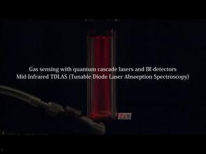 红外视频,捕捉不为人知的瞬间