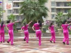 杨丽萍广场舞视频,舞动民族韵律，展现时代魅力