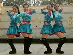 杨丽萍广场舞视频,舞动民族韵律，展现时代魅力