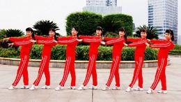 杨丽萍广场舞视频,舞动民族韵律，展现时代魅力