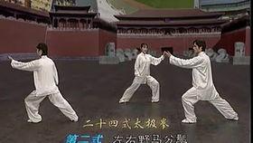 二十四式太极视频,动静结合，养生健身之道