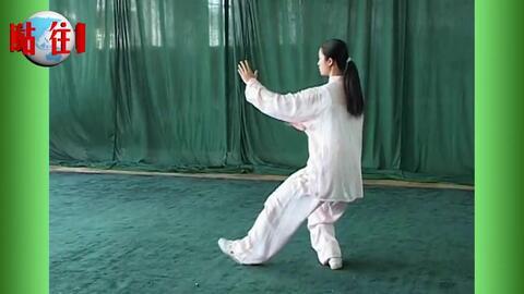 二十四式太极视频,动静结合，养生健身之道