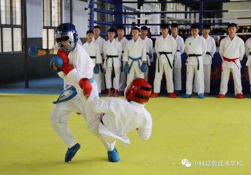 学武术的视频,从入门到精通的实战攻略