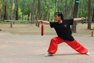 学武术的视频,从入门到精通的实战攻略