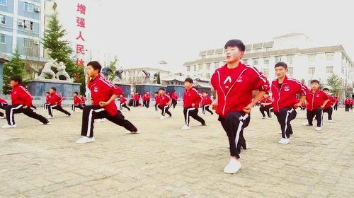 学武术的视频,从入门到精通的实战攻略