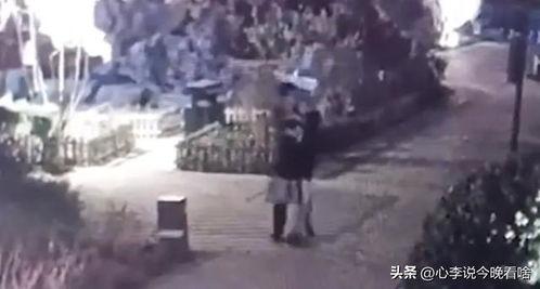 吃瓜爆料视频观看全集完整版