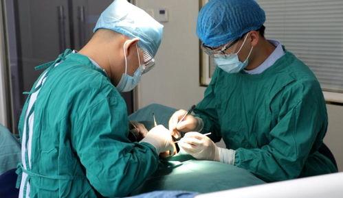 种植牙视频播放,视频带你领略牙医技艺