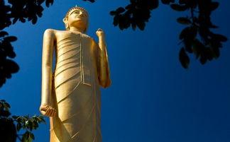 大安法师视频,深入解读佛教智慧与人生哲理